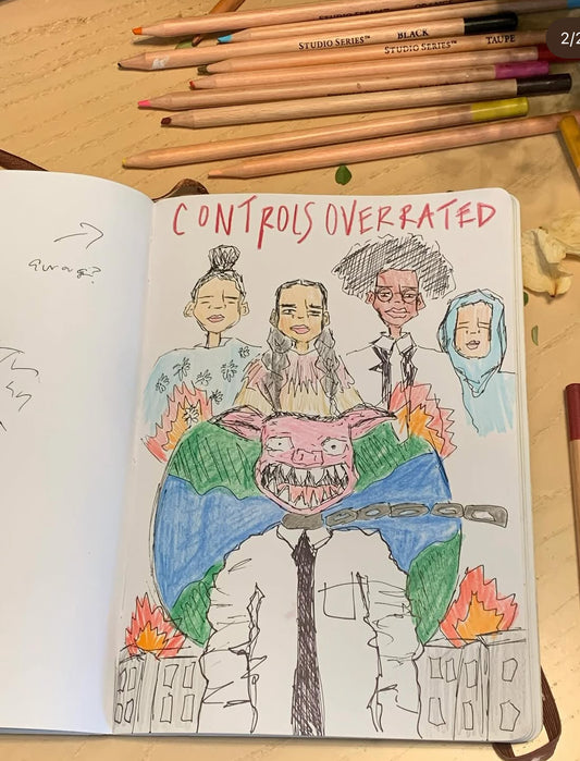 Controls overrated; fuck the corrupt politicians original laminated prints